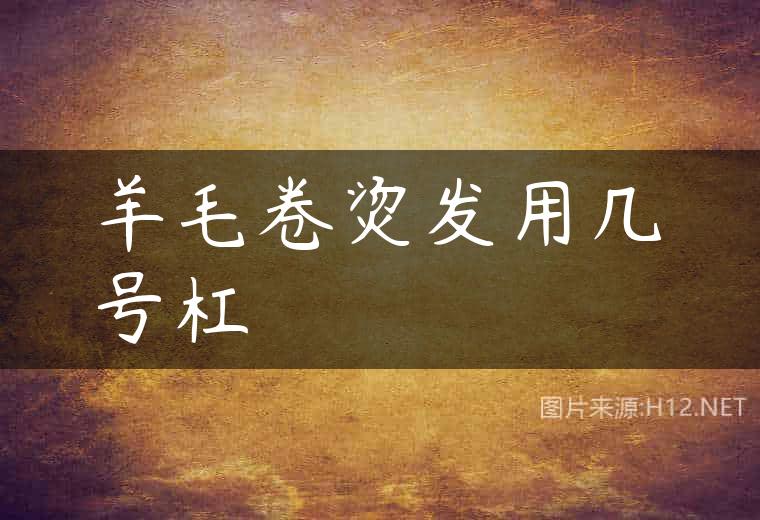 羊毛卷烫发用几号杠