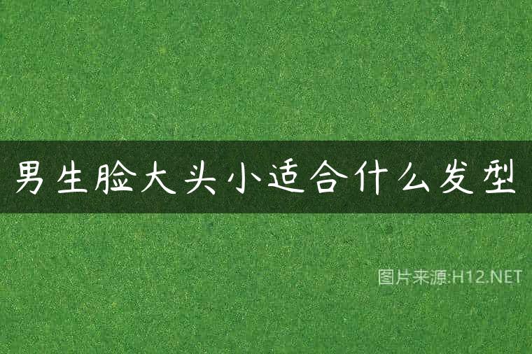 男生脸大头小适合什么发型