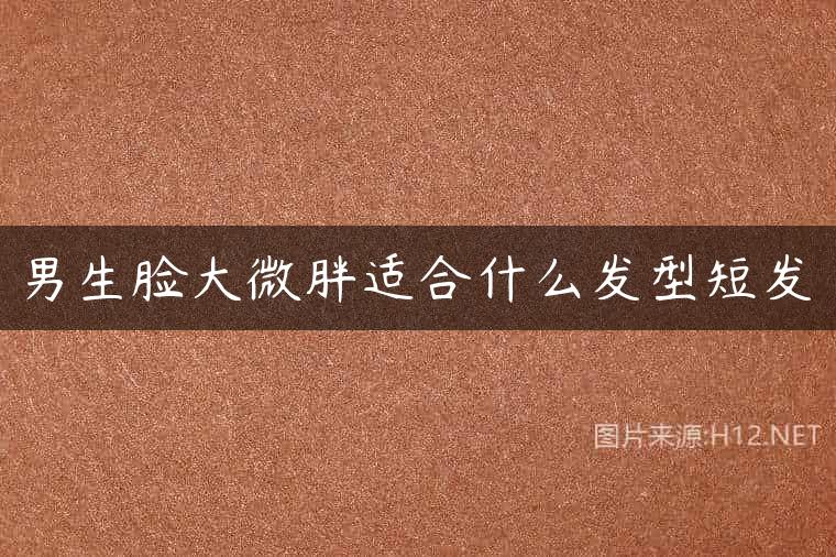 男生脸大微胖适合什么发型短发