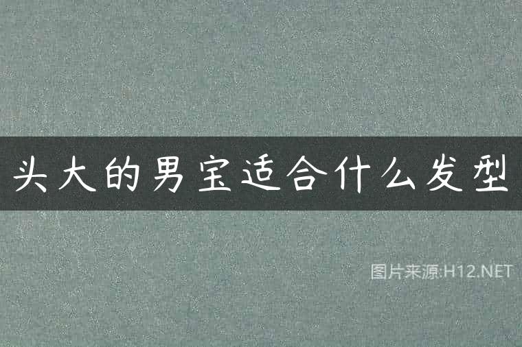 头大的男宝适合什么发型