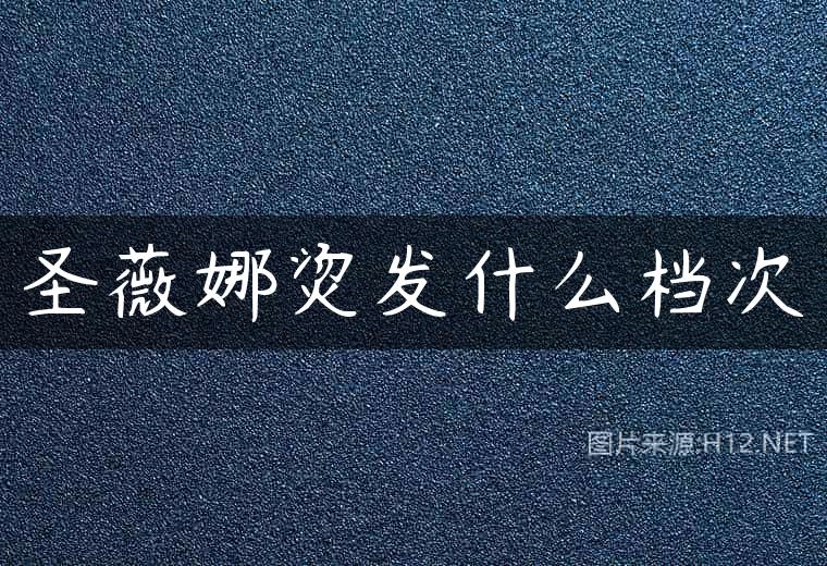 圣薇娜烫发什么档次