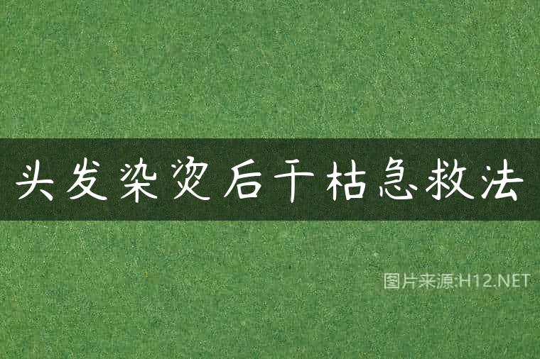 头发染烫后干枯急救法