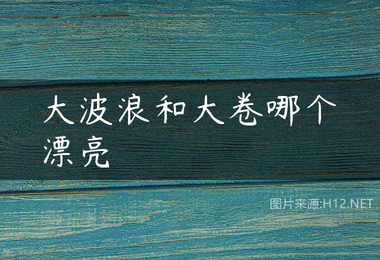 大波浪和大卷哪个漂亮