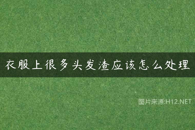 衣服上很多头发渣应该怎么处理