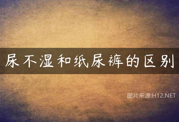 尿不湿和纸尿裤的区别