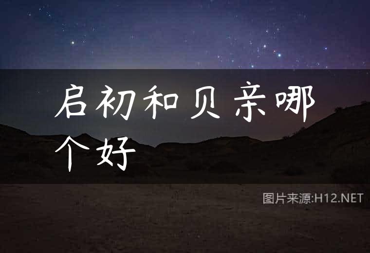 启初和贝亲哪个好