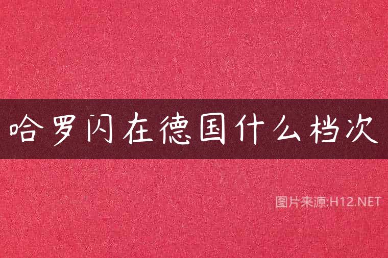哈罗闪在德国什么档次
