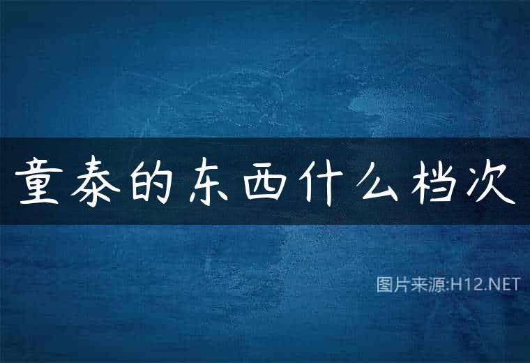 童泰的东西什么档次