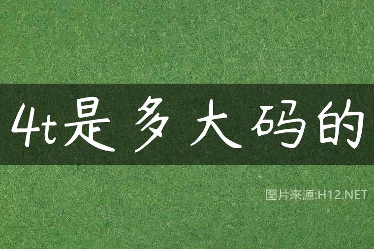 4t是多大码的