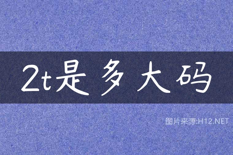 2t是多大码