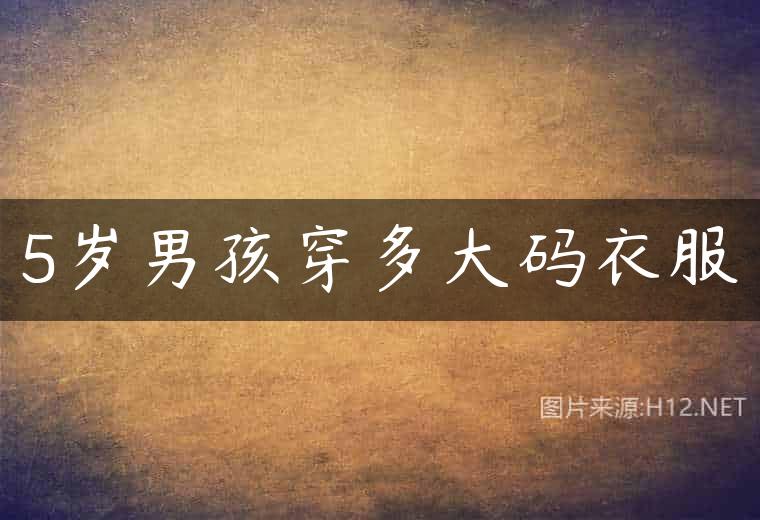 5岁男孩穿多大码衣服