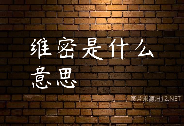 维密是什么意思