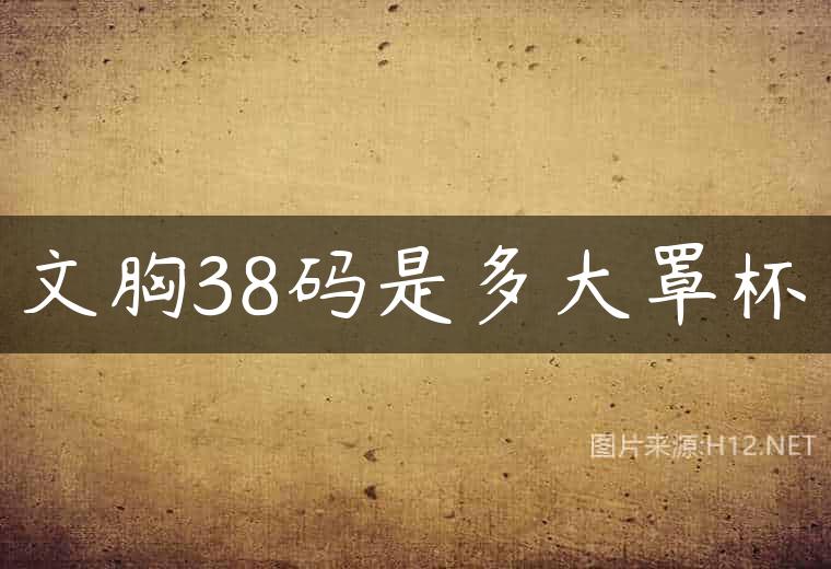 文胸38码是多大罩杯
