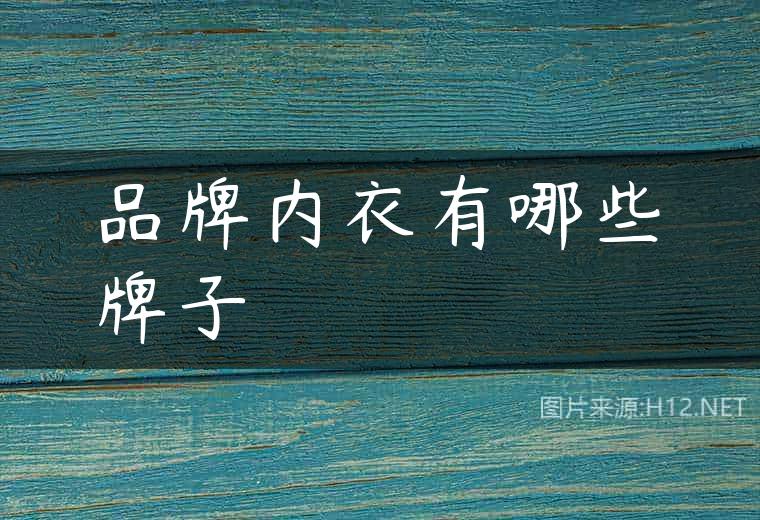 品牌内衣有哪些牌子