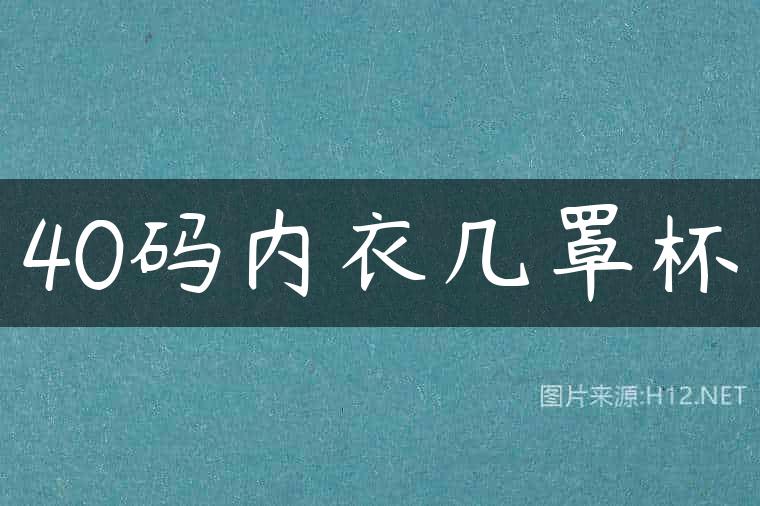 40码内衣几罩杯