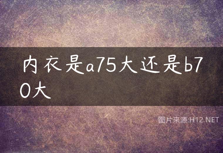 内衣是a75大还是b70大