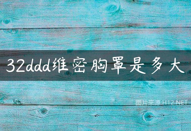32ddd维密胸罩是多大