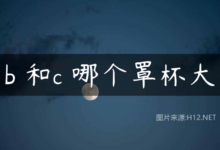 b 和c 哪个罩杯大