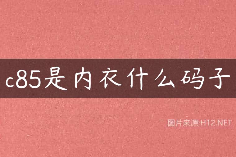 c85是内衣什么码子
