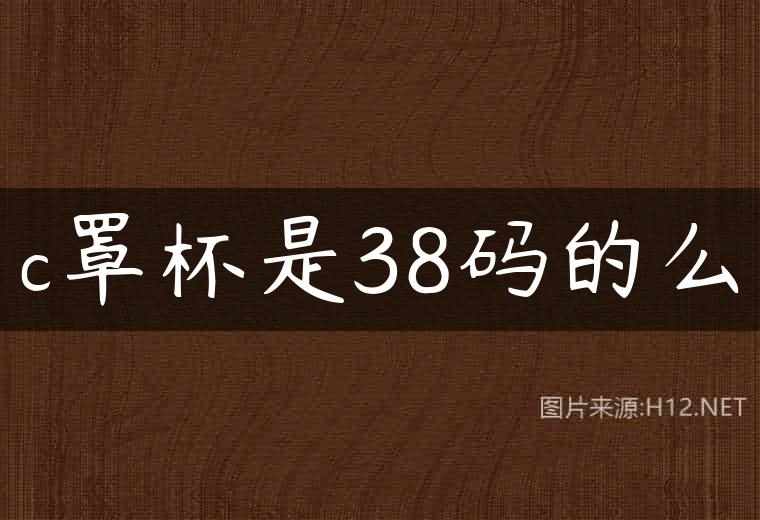 c罩杯是38码的么