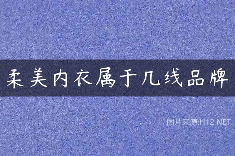 柔美内衣属于几线品牌