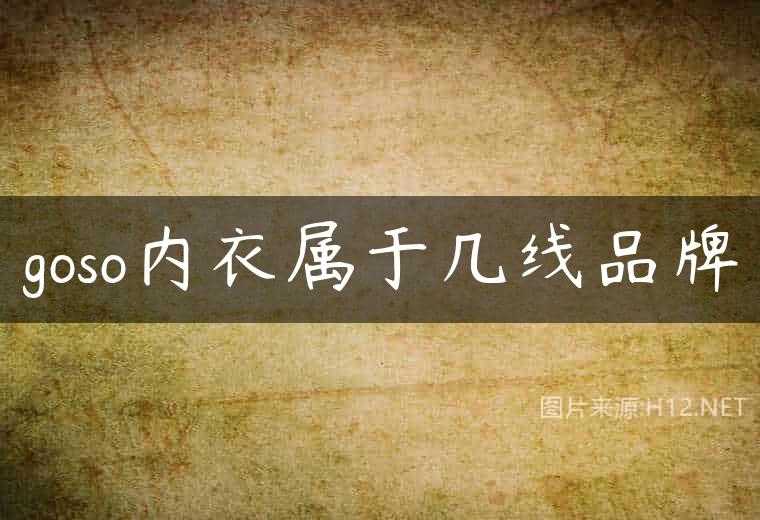 goso内衣属于几线品牌