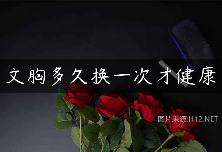 文胸多久换一次才健康