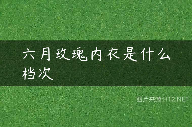六月玫瑰内衣是什么档次