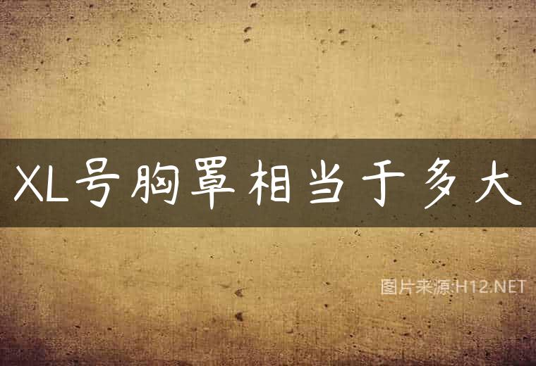XL号胸罩相当于多大