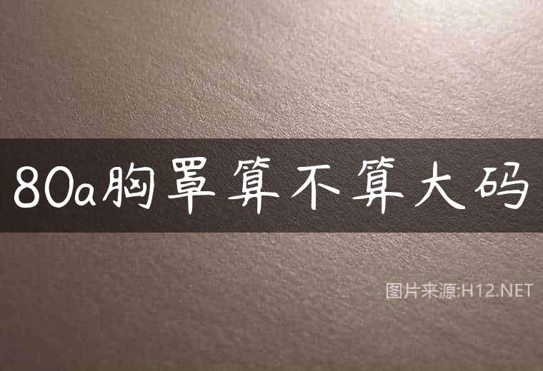 80a胸罩算不算大码