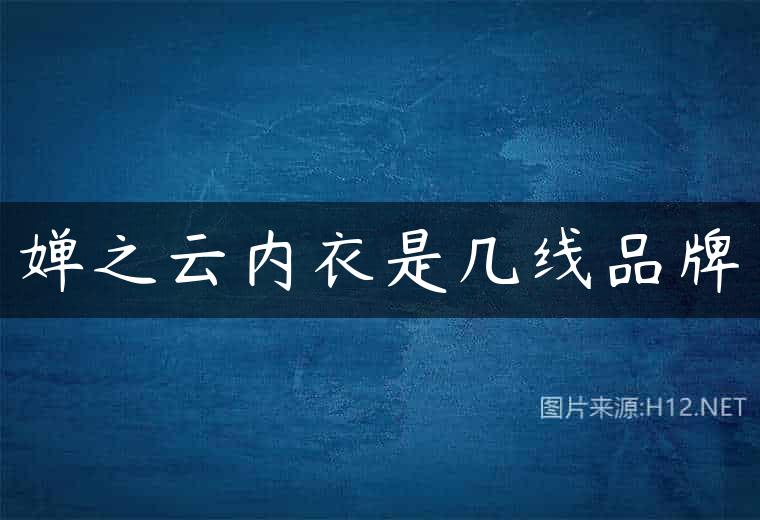 婵之云内衣是几线品牌