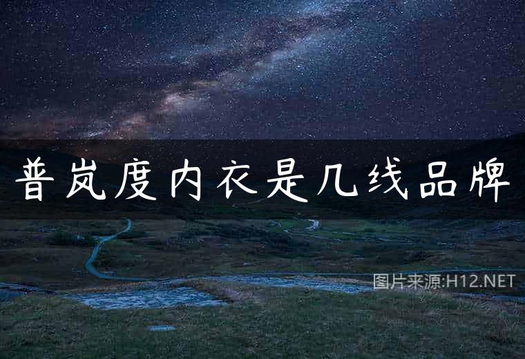 普岚度内衣是几线品牌