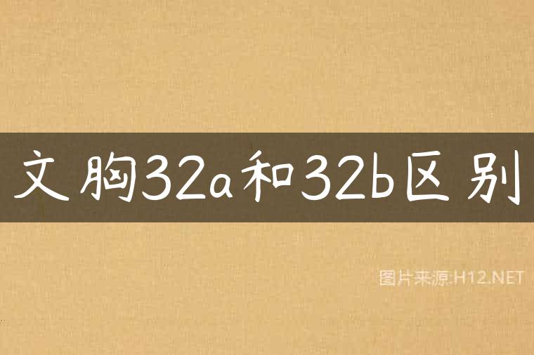 文胸32a和32b区别