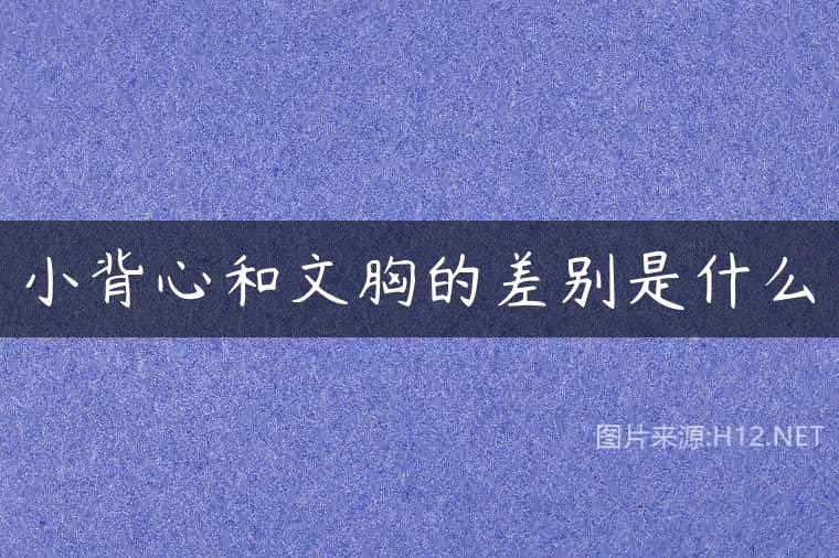 小背心和文胸的差别是什么