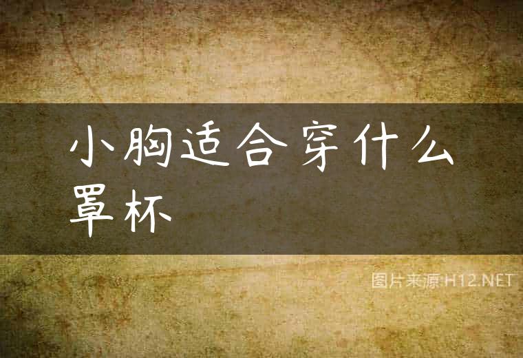 小胸适合穿什么罩杯