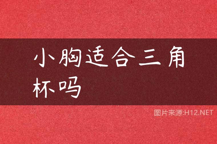 小胸适合三角杯吗