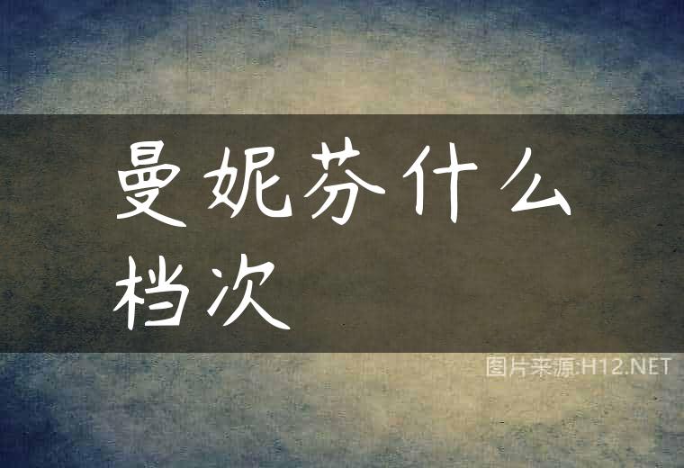 曼妮芬什么档次