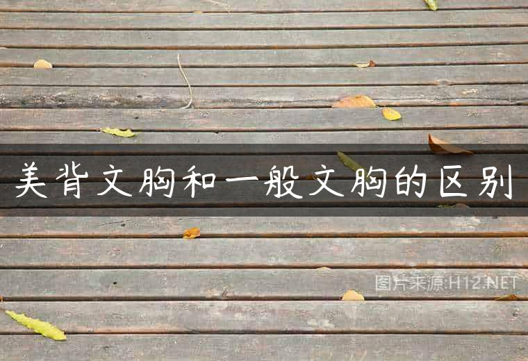 美背文胸和一般文胸的区别