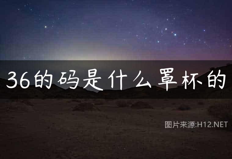 36的码是什么罩杯的