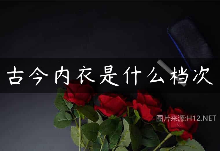 古今内衣是什么档次