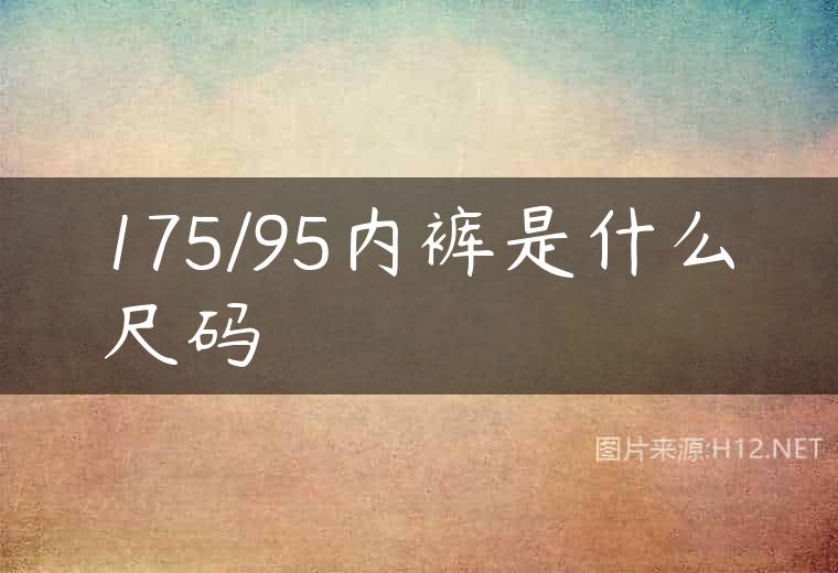 175/95内裤是什么尺码