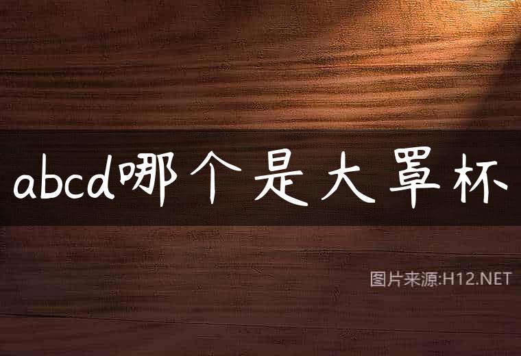abcd哪个是大罩杯