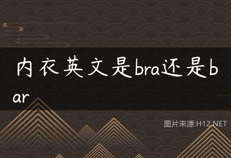 内衣英文是bra还是bar