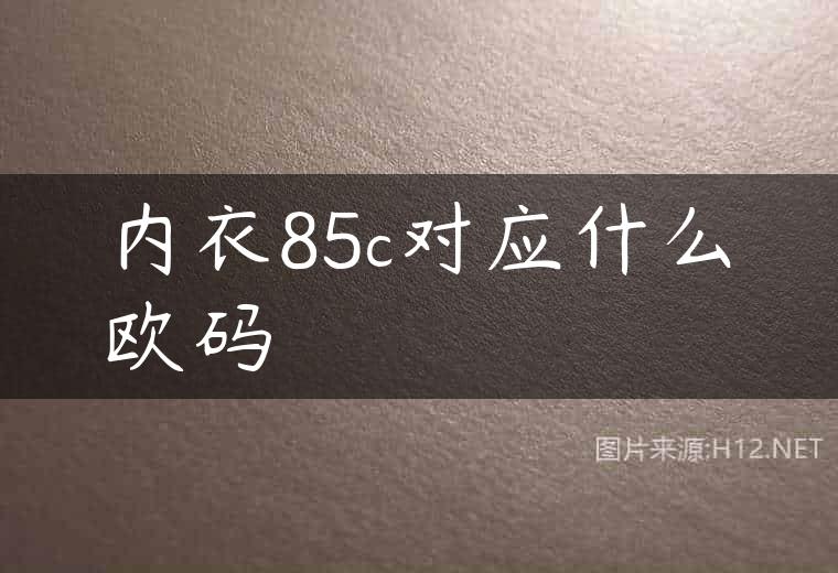 内衣85c对应什么欧码