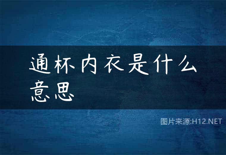 通杯内衣是什么意思