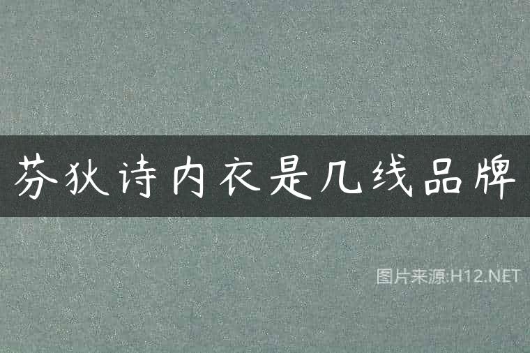 芬狄诗内衣是几线品牌