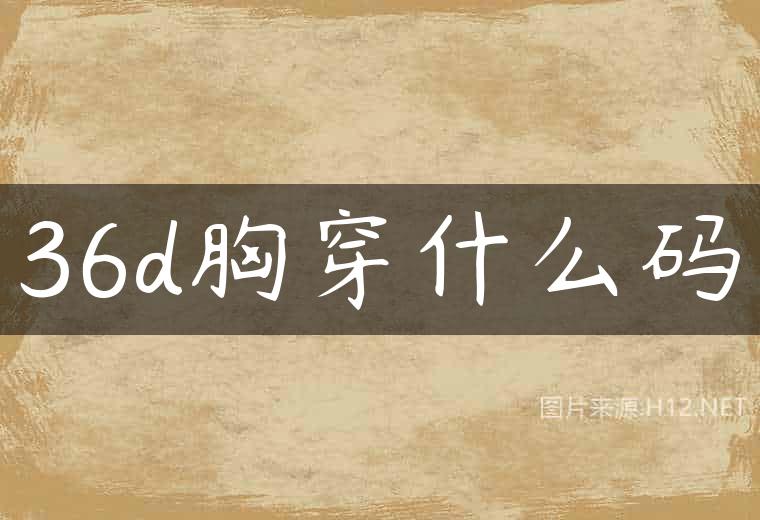 36d胸穿什么码