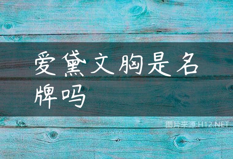 爱黛文胸是名牌吗