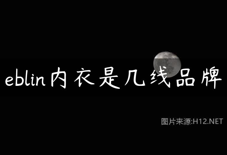 eblin内衣是几线品牌