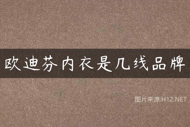 欧迪芬内衣是几线品牌